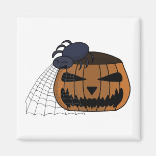 Imán Spider in the web in the halloween pumpkin