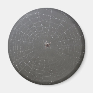 Imán Spider Magnet