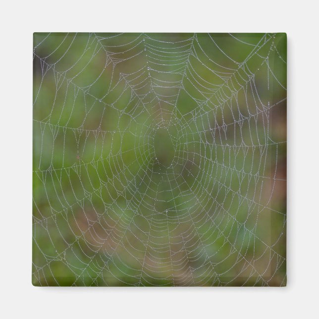 Imán Spiderweb con gotas (Frente)