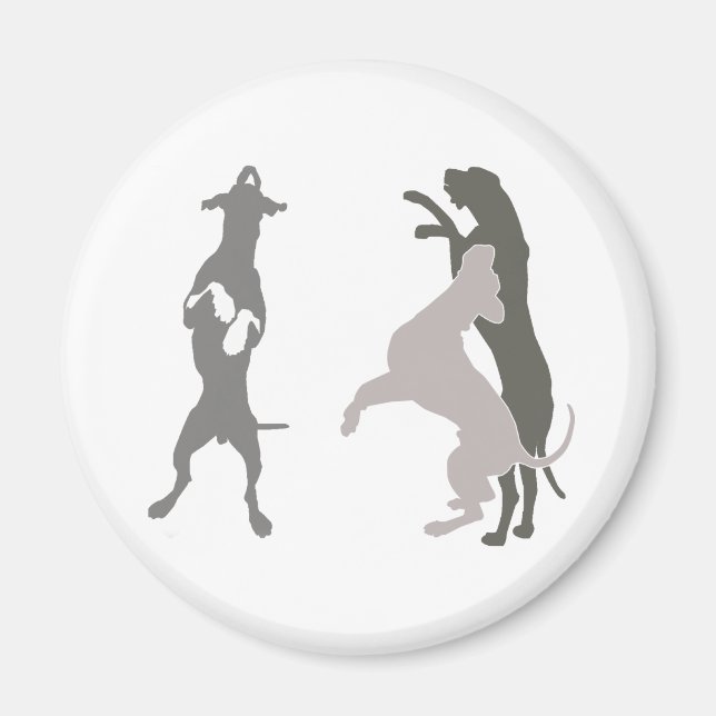 Imán Spieldoggen (Frente)