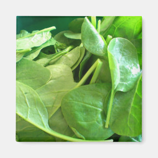 Imán Spinach
