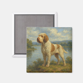 Imán Spinone Italiano