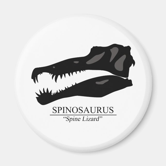 Imán Spinosaurus Skull (Frente)