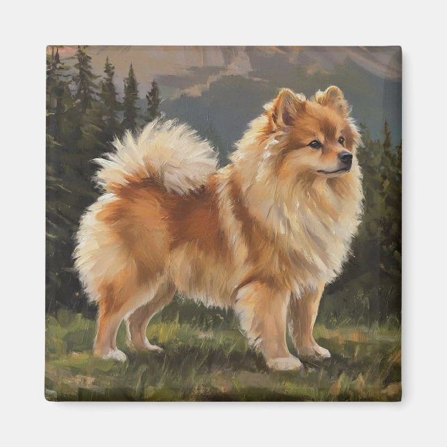 Imán Spitz alemán (Frente)