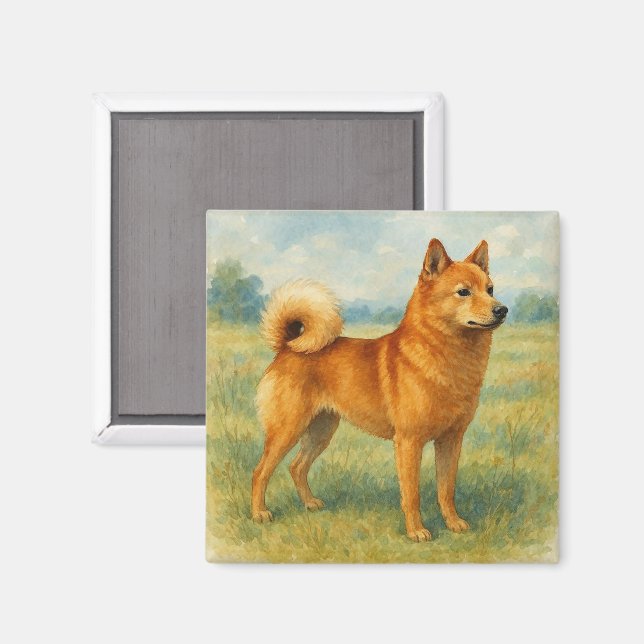 Imán Spitz finlandés (Anverso/Reverso)