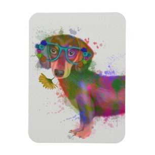 Imán Splash de arcoiris Dachshund y Glass