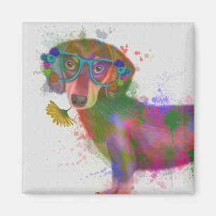 Imán Splash de arcoiris Dachshund y Glass