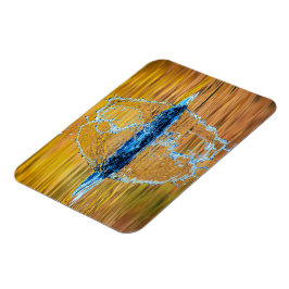 Imán Splash en la noche de otoño