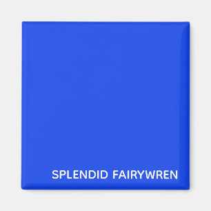 Imán Splendid Fairywren Blue Color Name