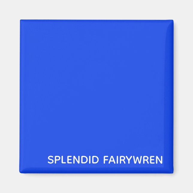 Imán Splendid Fairywren Blue Color Name (Frente)