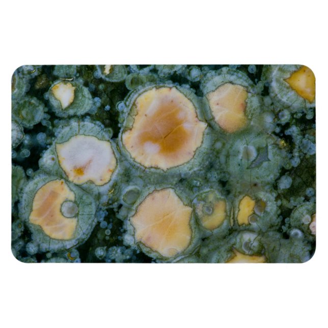 Imán Spoted Ocean Jasper (Horizontal)