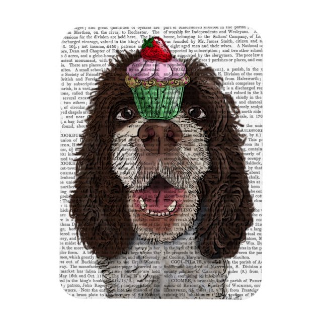 Imán Springer Spaniel con Cupcake (Vertical)