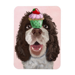 Imán Springer Spaniel con Cupcake 2