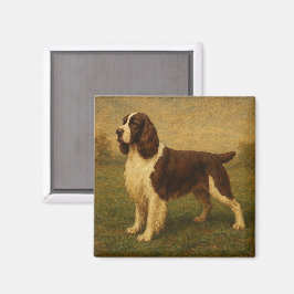 Imán Springer Spaniel Inglés