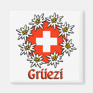 Imán Sq de Gruezi