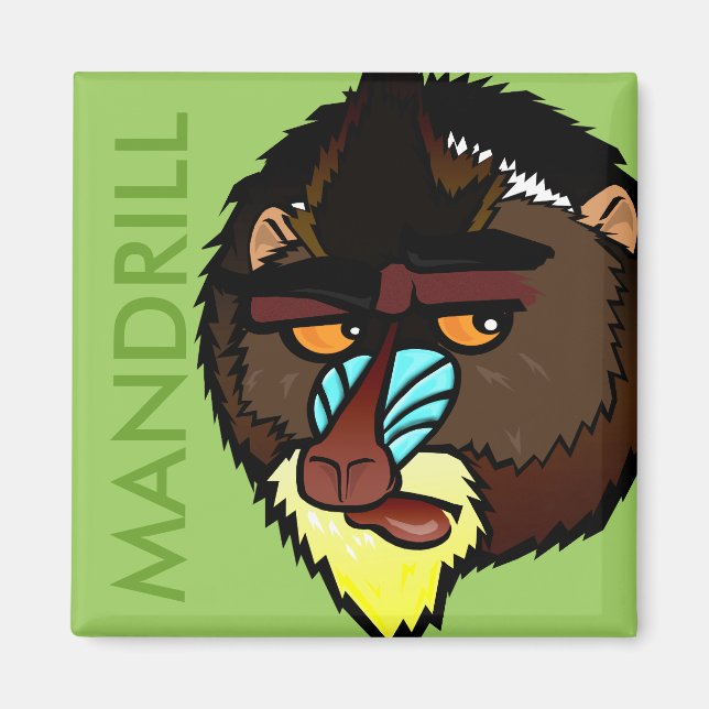 IMÁN SQUARE MANDRILL MAGNET (Frente)