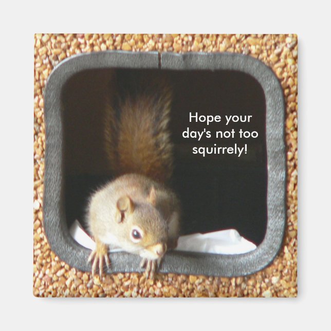 Imán Squirúrgicamente Magnet (Frente)