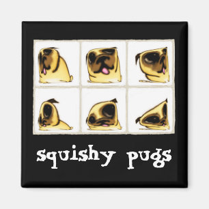 Imán Squishy Pugs Magnet