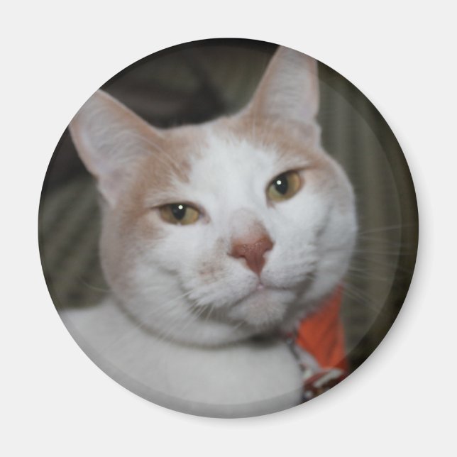 Imán ¡Sr. Peabody! (Frente)