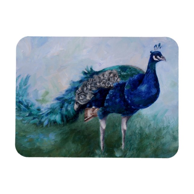 Imán Sr. Peacock (Horizontal)