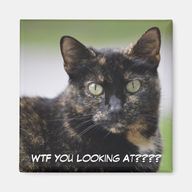 Imán Sra. Sweetpea la Tortie (Frente)