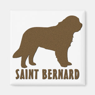 Imán St Bernard