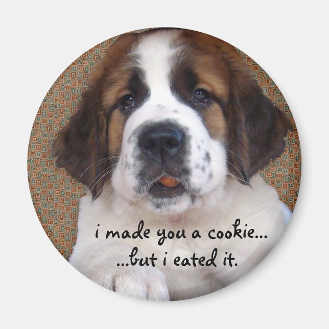 Imán St Bernard Puppy Cookie (Frente)