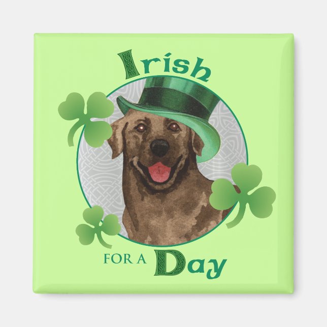 Imán St. Patrick's Day Chocolate Lab (Frente)