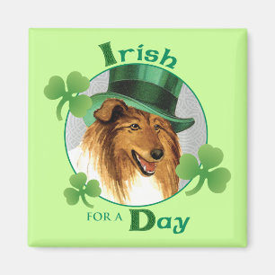 Imán St. Patrick's Day Collie