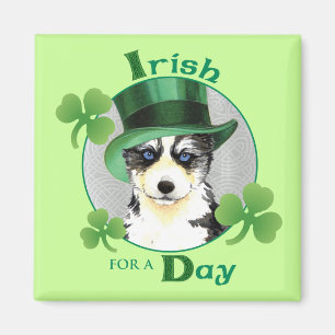 Imán St. Patrick's Day Husky