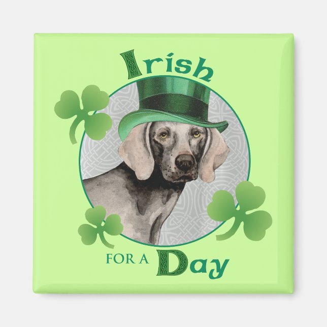 Imán St. Patrick's Day Weimaraner (Frente)