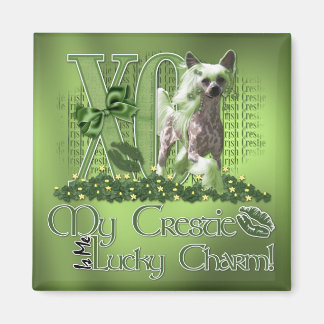 Imán St Patricks - Me Lucky Charm - Chino detenido