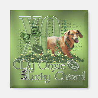 Imán St Patricks - Me Lucky Charm - Dachshund - Abby