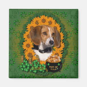 Imán St Patricks - mina de oro - beagle