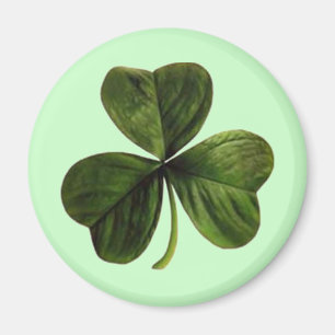 Imán St. Patrick's Three Leaf Clover