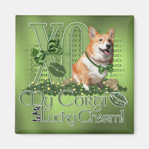 Imán St Patricks - yo encanto afortunado - Corgi - Owen