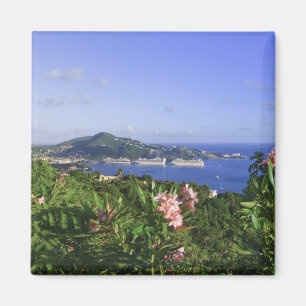 Imán St. Thomas, Islas Vírgenes de los EE. UU. Charlott