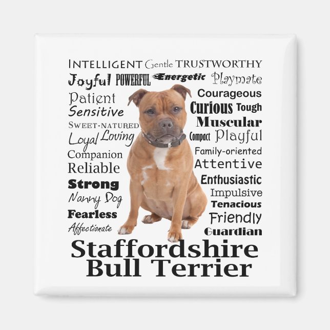 Imán Staffie Traits Magnet (Frente)