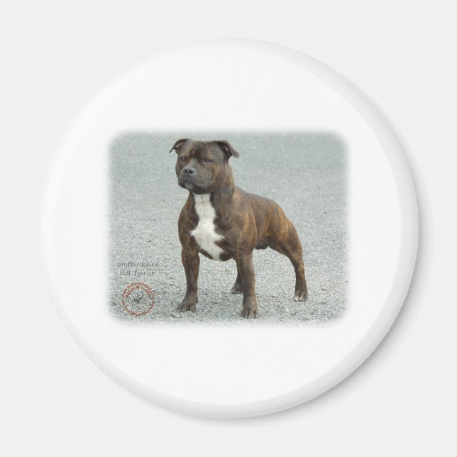 Imán Staffordshire Bull Terrier (Frente)