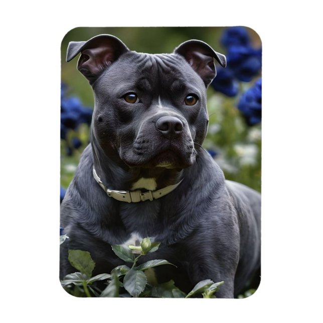 Imán Staffordshire Bull Terrier In Blue Rosa Garden, (Vertical)