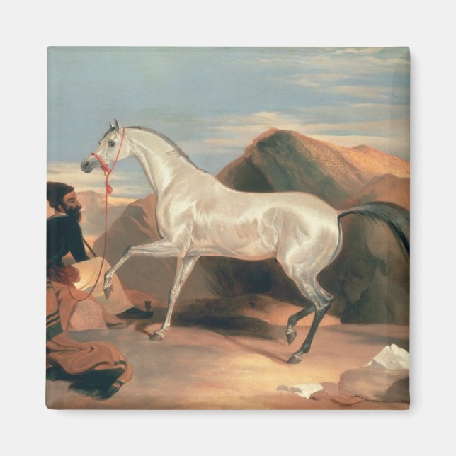 Imán Stallion árabe (Frente)