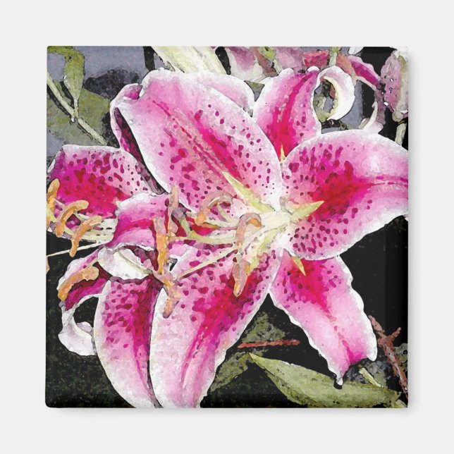 Imán Star Gazer Lily Art Magnet (Frente)