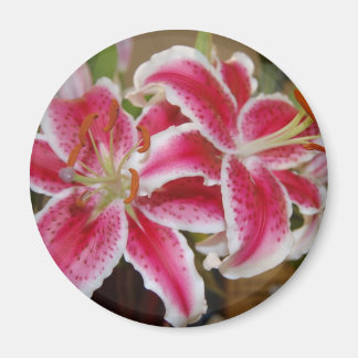 Imán Star Gazer Lily Round Magnet