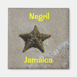 Imán Starfish