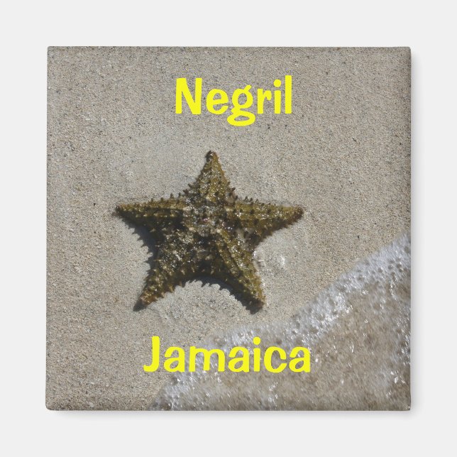 Imán Starfish (Frente)