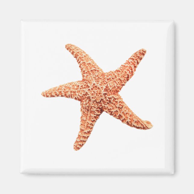 Imán Starfish (Frente)