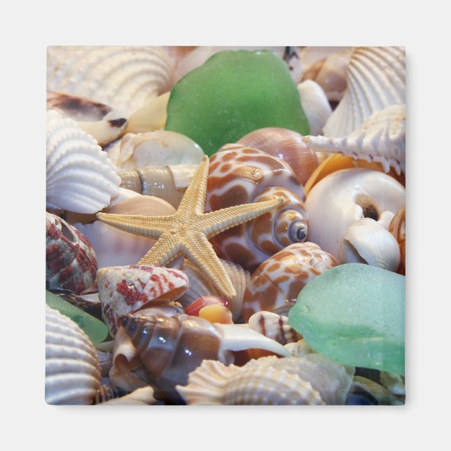 Imán Starfish & Beach Glass Magnet (Frente)