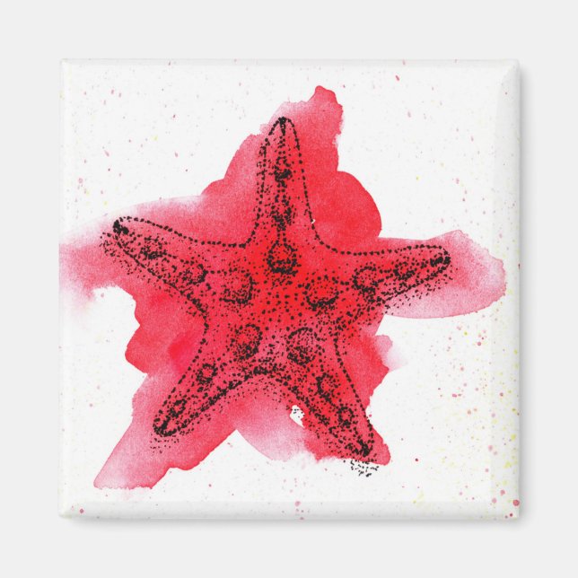 Imán Starfish de color de agua (Frente)