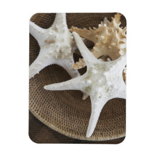 Imán Starfish en una cesta