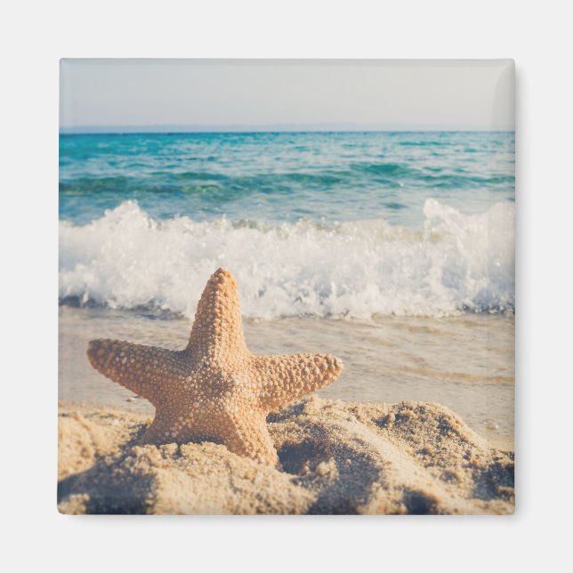 Imán Starfish en una foto de una playa de arena (Frente)